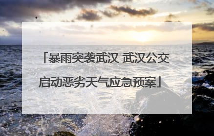 暴雨突袭武汉 武汉公交启动恶劣天气应急预案