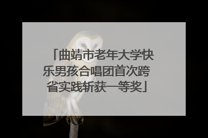 曲靖市老年大学快乐男孩合唱团首次跨省实践斩获一等奖