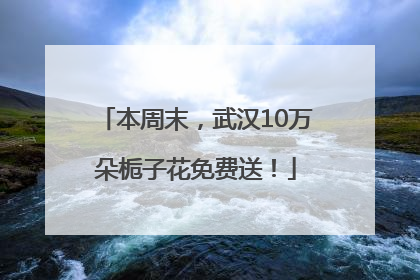 本周末，武汉10万朵栀子花免费送！