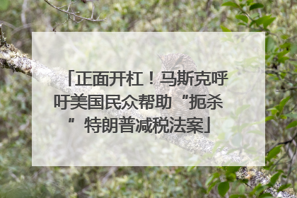 正面开杠！马斯克呼吁美国民众帮助“扼杀”特朗普减税法案