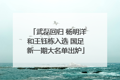 武磊回归 杨明洋和王钰栋入选 国足新一期大名单出炉