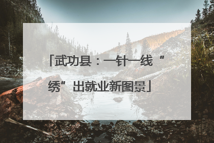 武功县：一针一线“绣”出就业新图景