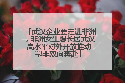 武汉企业要走进非洲，非洲女生想长居武汉 高水平对外开放推动鄂非双向奔赴