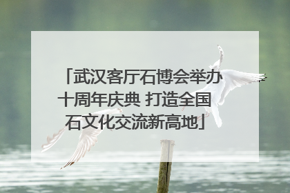 武汉客厅石博会举办十周年庆典 打造全国石文化交流新高地