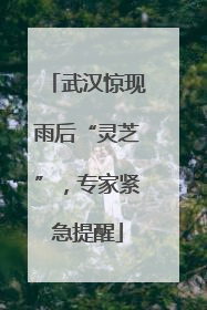 武汉惊现雨后“灵芝”，专家紧急提醒