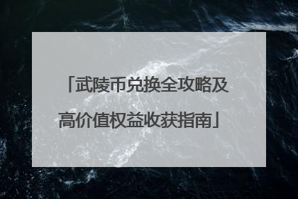 武陵币兑换全攻略及高价值权益收获指南