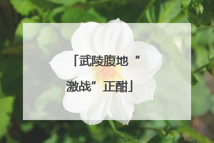 武陵腹地“激战”正酣