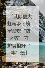 武陟县大虹桥乡：筑牢禁烧“防火墙” 守护夏粮好“丰”景