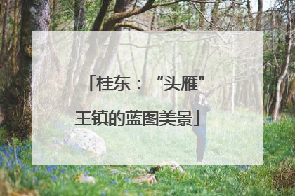 桂东：“头雁”王镇的蓝图美景