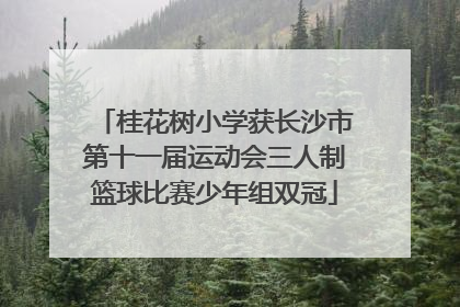 桂花树小学获长沙市第十一届运动会三人制篮球比赛少年组双冠