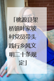 桃源县架桥镇叶家坡村党员带头践行乡风文明二十条规定