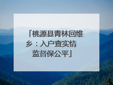 桃源县青林回维乡：入户查实情 监督保公平