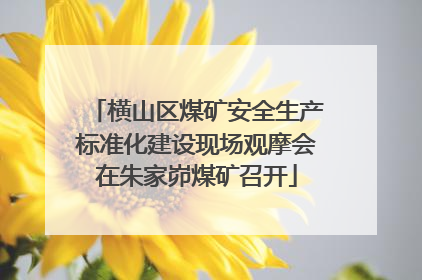 横山区煤矿安全生产标准化建设现场观摩会在朱家峁煤矿召开