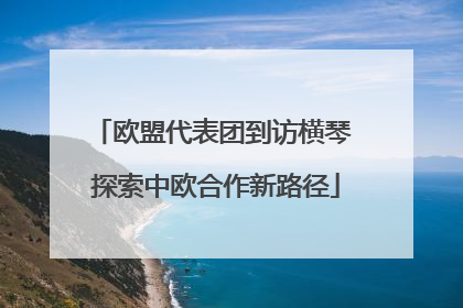 欧盟代表团到访横琴 探索中欧合作新路径