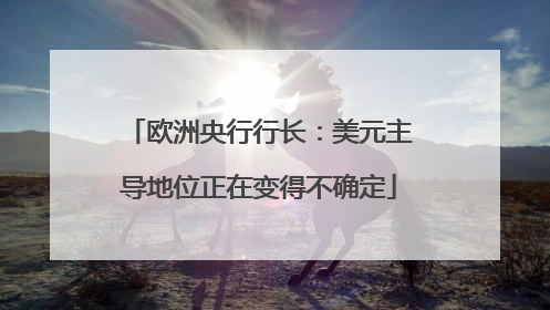 欧洲央行行长：美元主导地位正在变得不确定