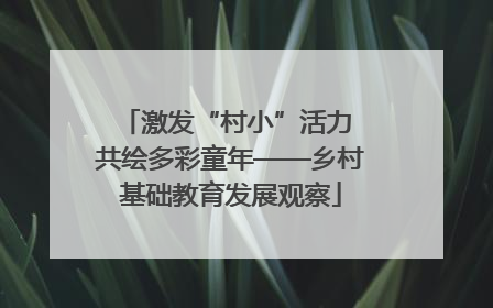 激发“村小”活力 共绘多彩童年——乡村基础教育发展观察
