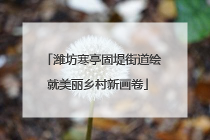 潍坊寒亭固堤街道绘就美丽乡村新画卷