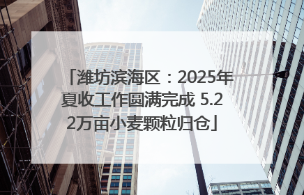 潍坊滨海区：2025年夏收工作圆满完成 5.22万亩小麦颗粒归仓