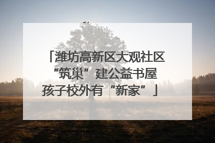 潍坊高新区大观社区“筑巢”建公益书屋 孩子校外有“新家”