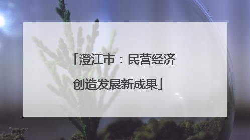 澄江市：民营经济创造发展新成果