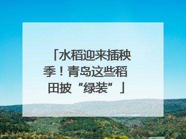 水稻迎来插秧季！青岛这些稻田披“绿装”