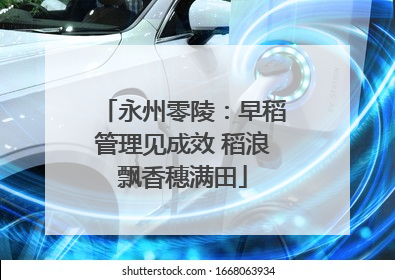 永州零陵：早稻管理见成效 稻浪飘香穗满田