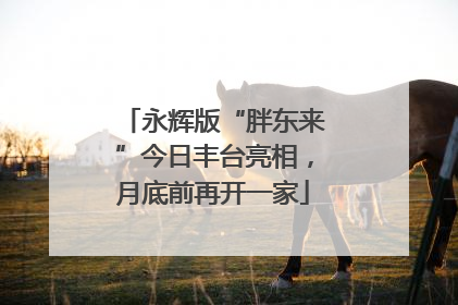 永辉版“胖东来”今日丰台亮相，月底前再开一家