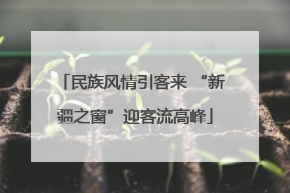 民族风情引客来 “新疆之窗”迎客流高峰