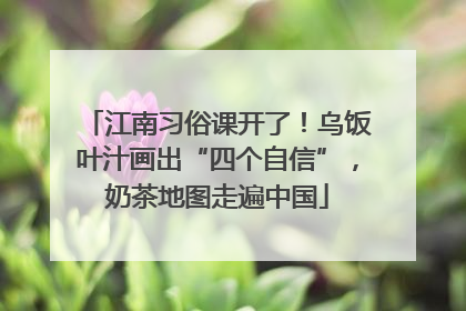 江南习俗课开了！乌饭叶汁画出“四个自信”，奶茶地图走遍中国