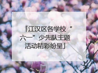 江汉区各学校“六一”少先队主题活动精彩纷呈