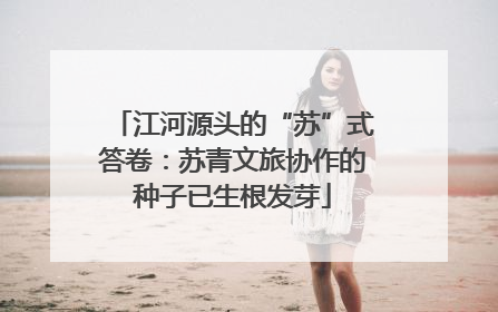 江河源头的“苏”式答卷：苏青文旅协作的种子已生根发芽