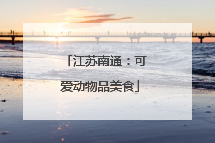 江苏南通：可爱动物品美食