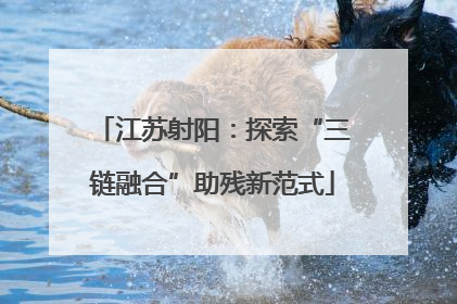 江苏射阳：探索“三链融合”助残新范式