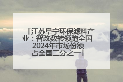 江苏阜宁环保滤料产业：智改数转领跑全国 2024年市场份额占全国三分之一