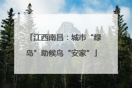 江西南昌：城市“绿岛”助候鸟“安家”
