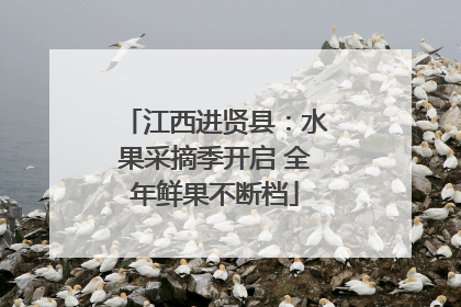 江西进贤县：水果采摘季开启 全年鲜果不断档