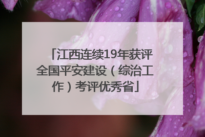 江西连续19年获评全国平安建设（综治工作）考评优秀省