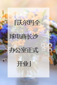 沃尔玛全球电商长沙办公室正式开业