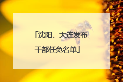 沈阳、大连发布干部任免名单