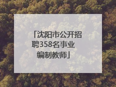 沈阳市公开招聘358名事业编制教师