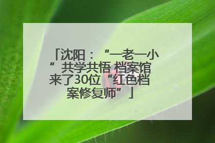 沈阳：“一老一小”共学共悟 档案馆来了30位“红色档案修复师”