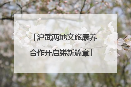 沪武两地文旅康养合作开启崭新篇章