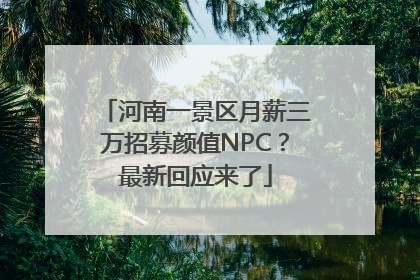 河南一景区月薪三万招募颜值NPC？最新回应来了