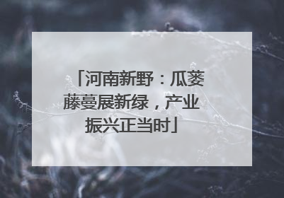 河南新野：瓜蒌藤蔓展新绿，产业振兴正当时