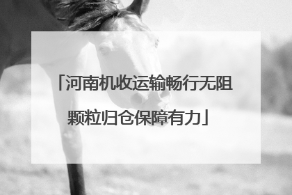 河南机收运输畅行无阻 颗粒归仓保障有力