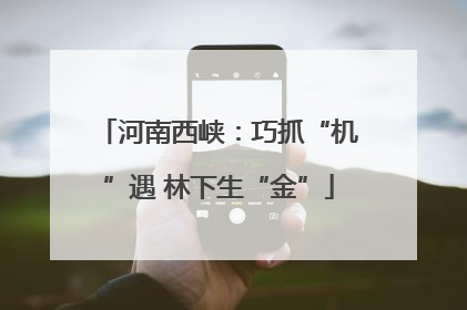 河南西峡：巧抓“机”遇 林下生“金”