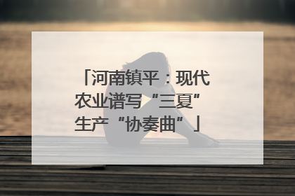 河南镇平：现代农业谱写“三夏”生产“协奏曲”