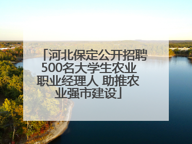河北保定公开招聘500名大学生农业职业经理人 助推农业强市建设