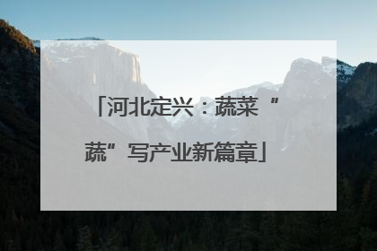 河北定兴：蔬菜“蔬”写产业新篇章