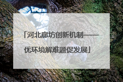 河北廊坊创新机制——优环境解难题促发展